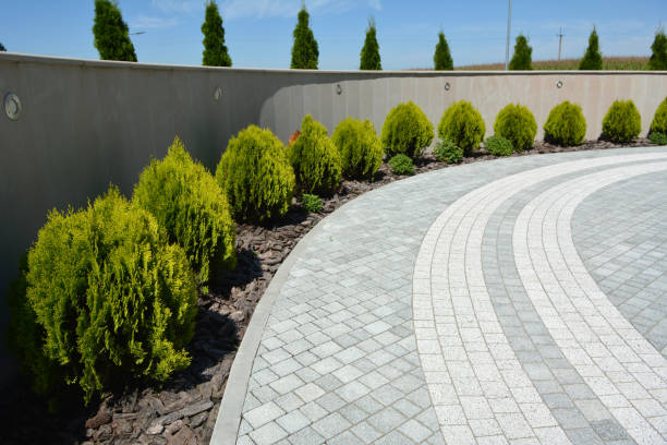 Best Commercial Driveway Pavers  in Medford, MN