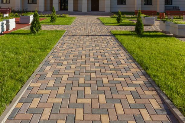 Best Best Driveway Pavers  in Medford, MN